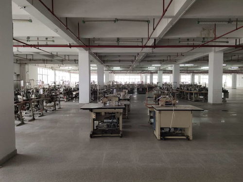 花都區學校建筑抗震安全檢測鑒定工作全面展開，權威機構助力筑牢校園安全防線